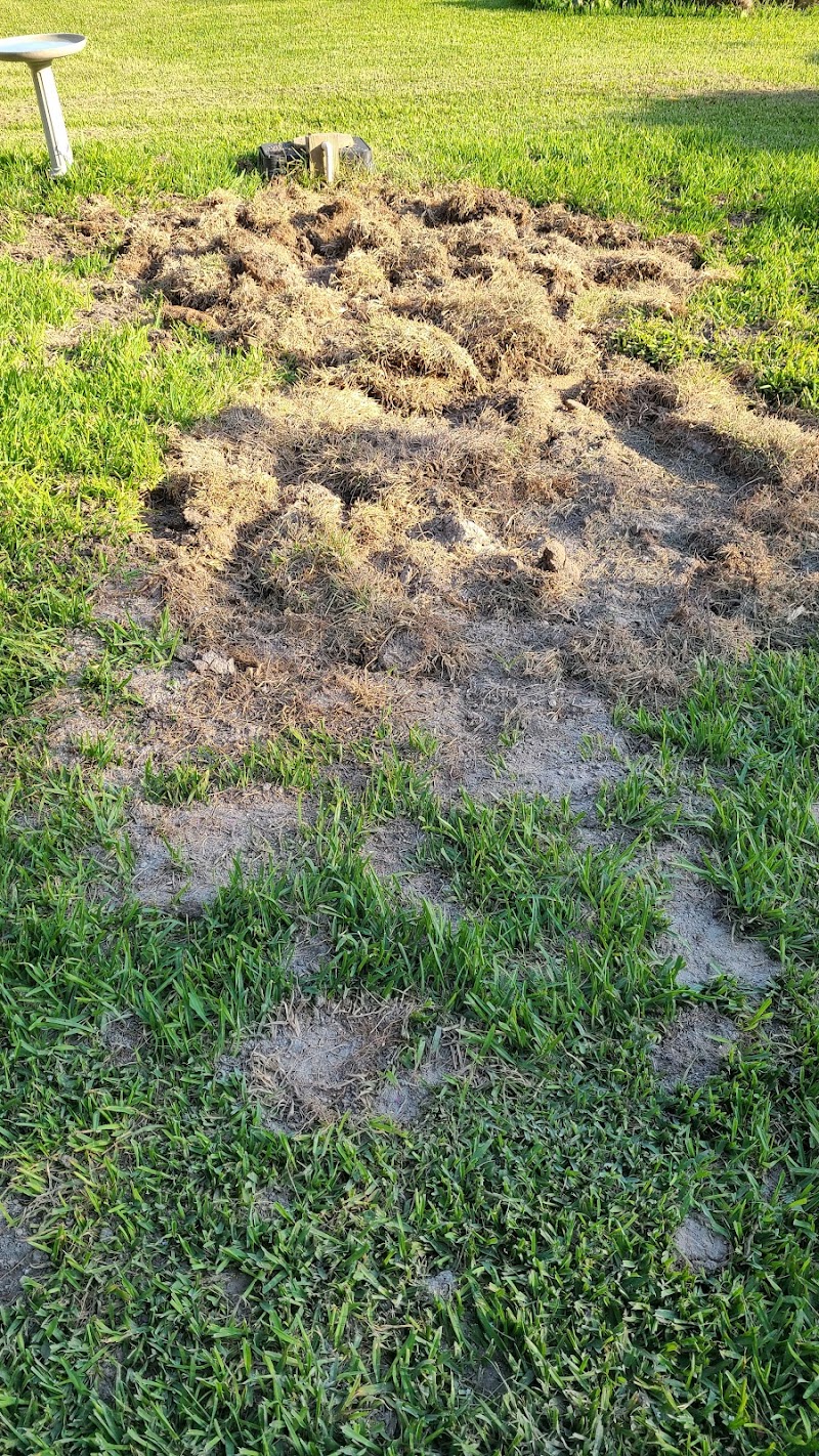 Septic repair and servicing